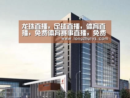案例展示七