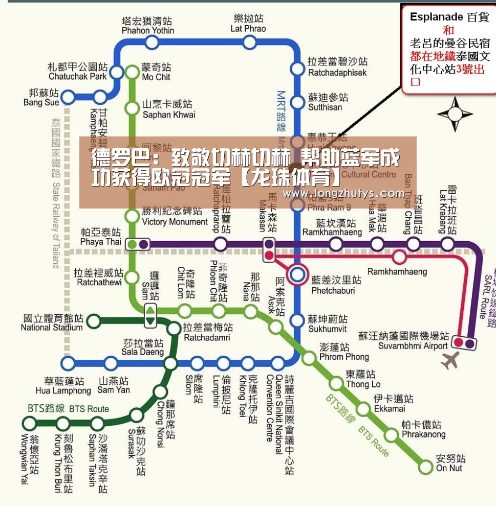 龙珠体育