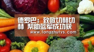 龙珠体育