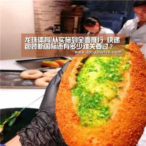 龙珠体育体育