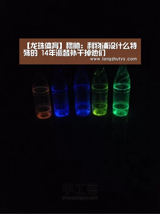 龙珠体育
