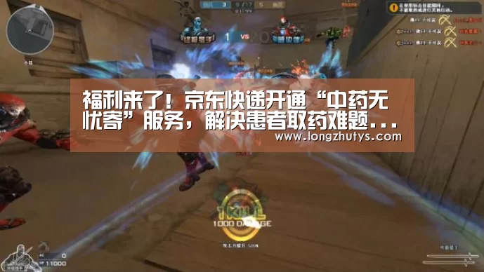 龙珠体育体育