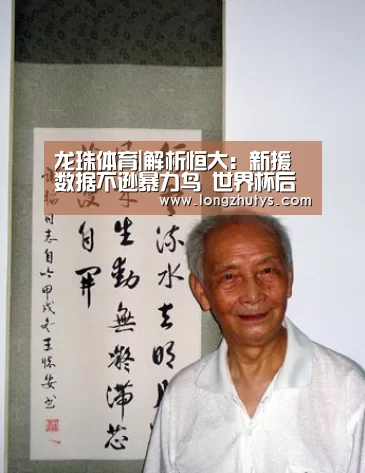 龙珠体育体育