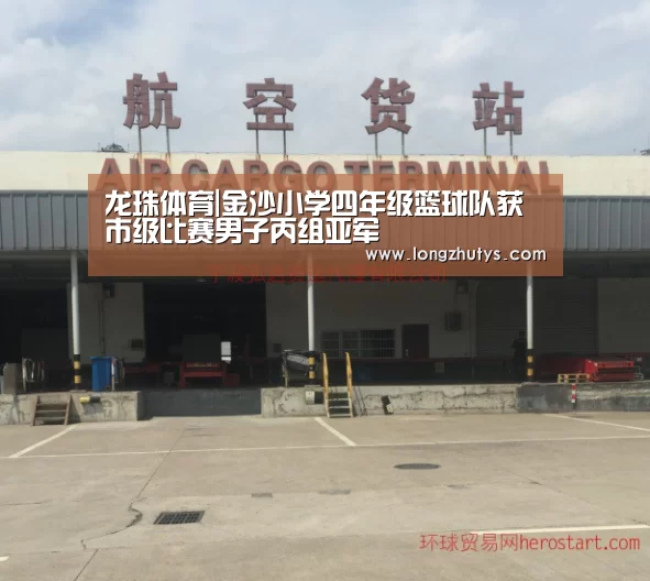 龙珠体育