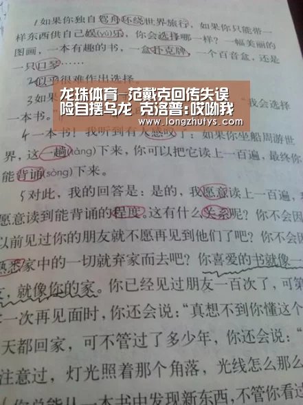龙珠体育体育