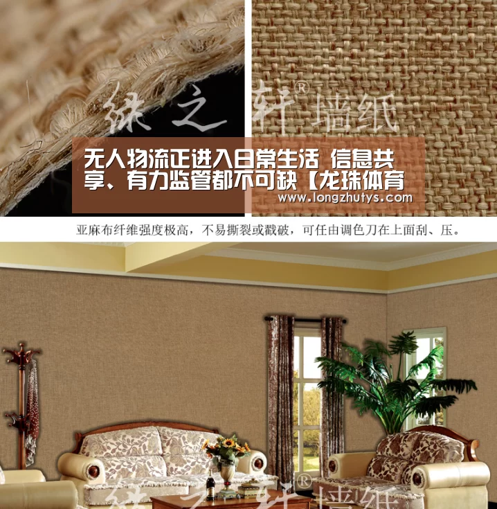 龙珠体育