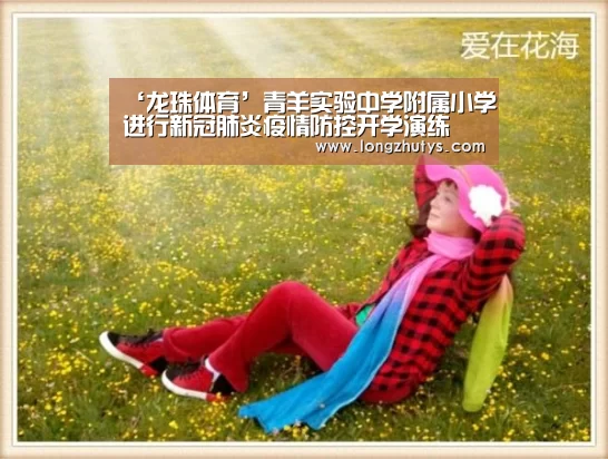 龙珠体育体育