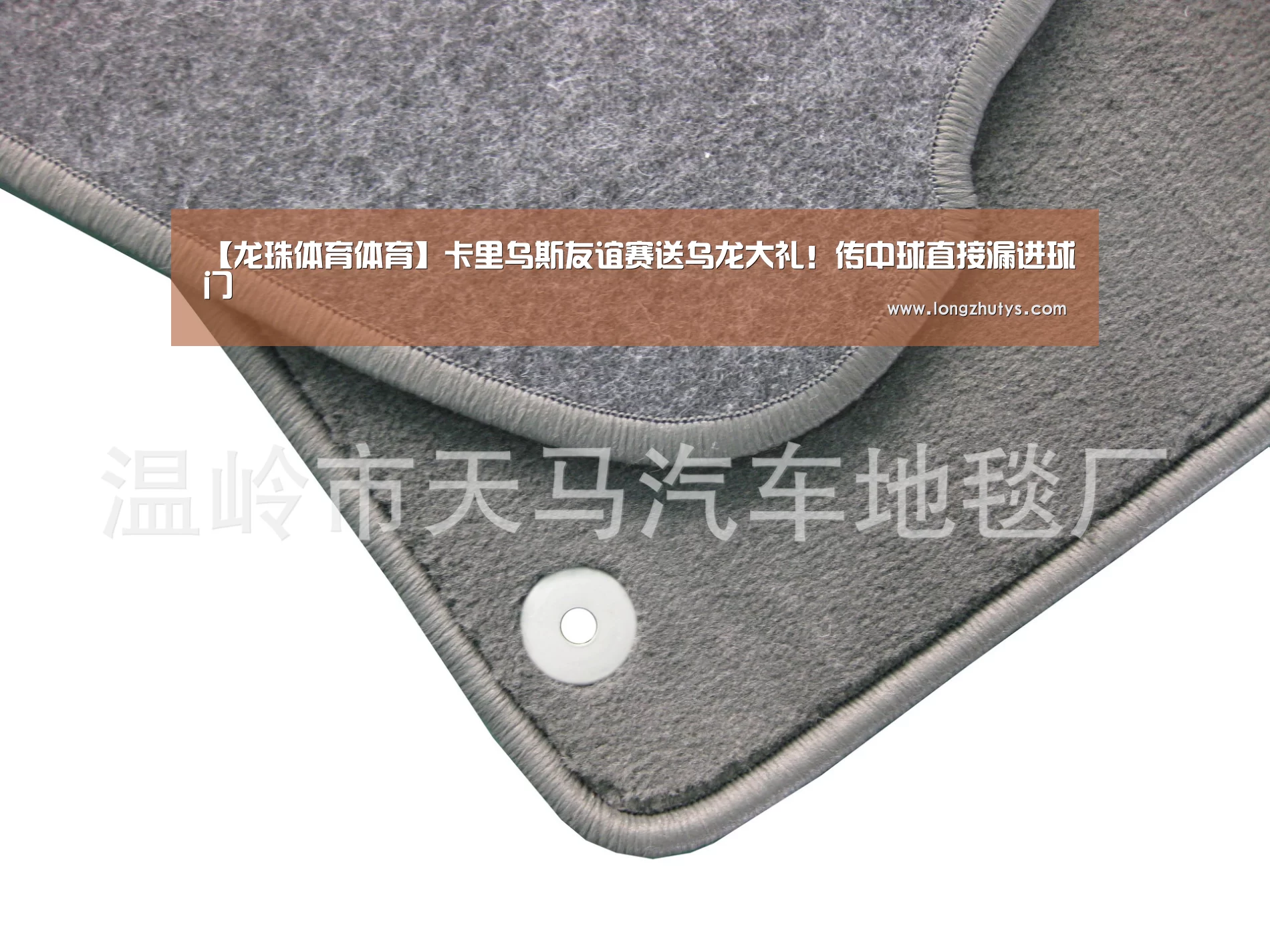 龙珠体育体育