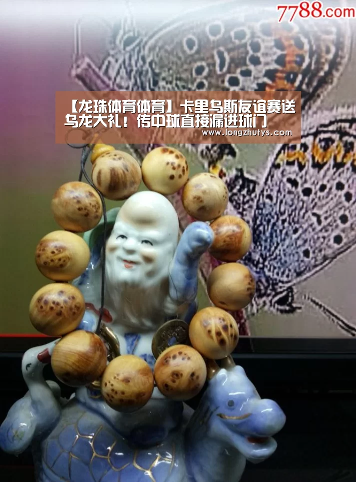 龙珠体育