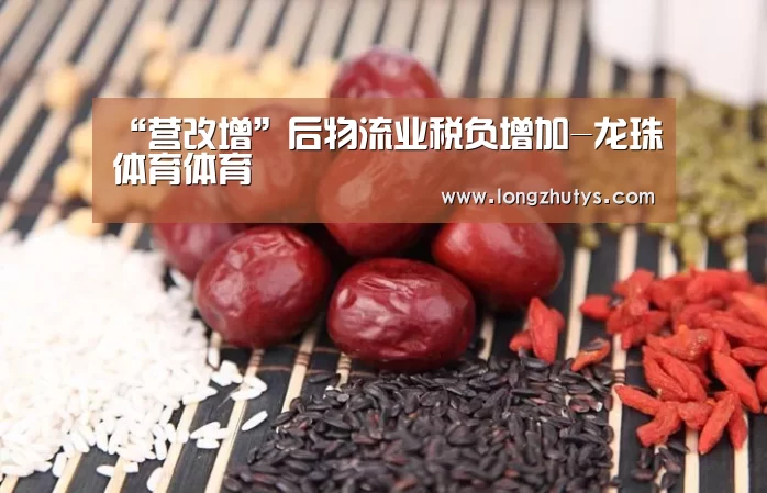 龙珠体育