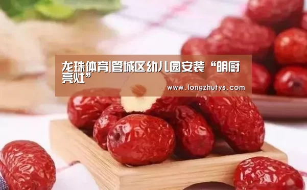 龙珠体育体育