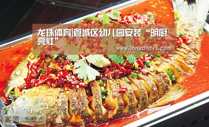 龙珠体育