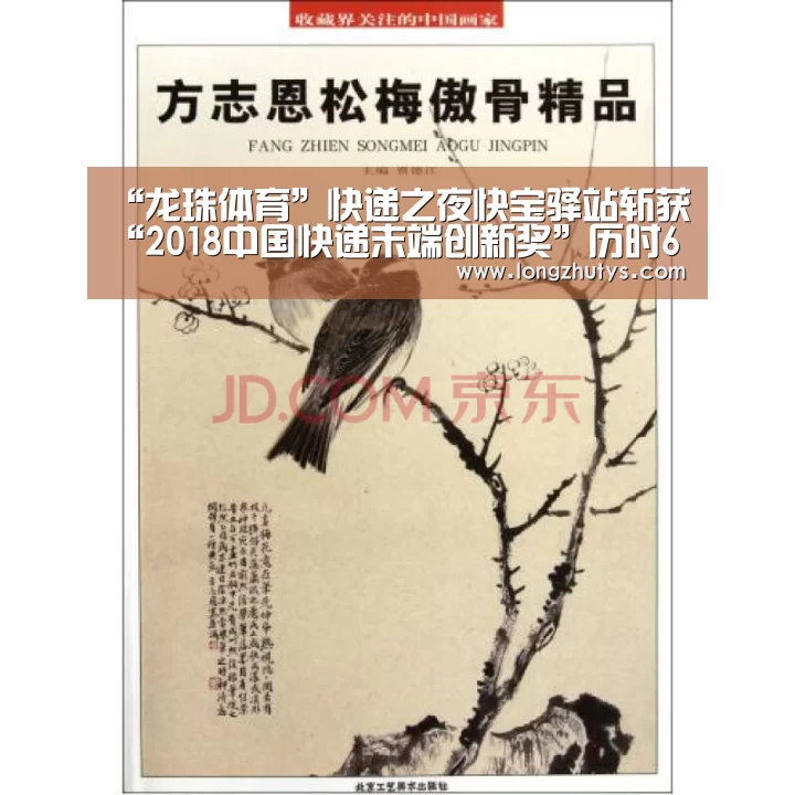 龙珠体育