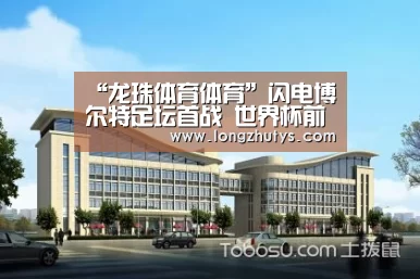 龙珠体育体育